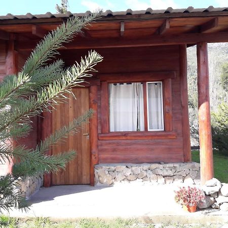 El Jarillal Chalet De Montana A Pasos Del Lago Lago Puelo Exterior photo