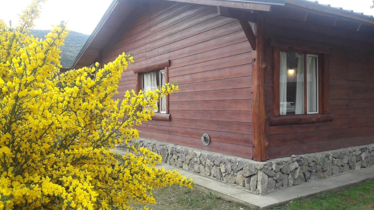 El Jarillal Chalet De Montana A Pasos Del Lago Lago Puelo Exterior photo